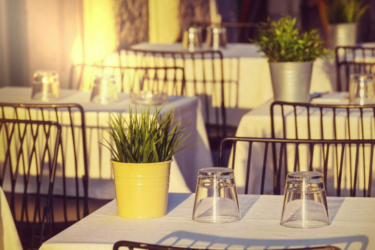 a table with glasses and plants